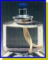 30 Hour Regular Paraffin Oil Fuel Cell