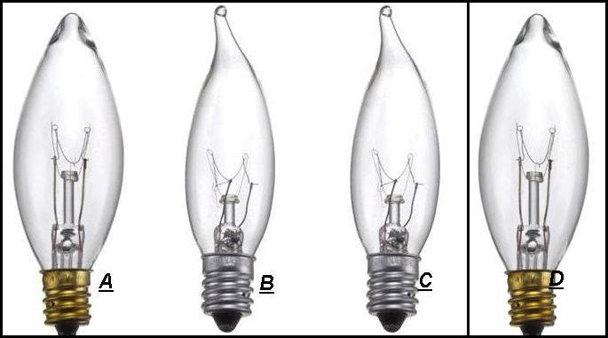 Candelabra Base Bulbs 10