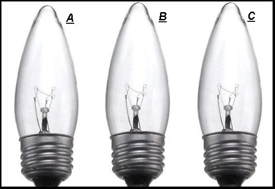 Standard Base Bulbs 7