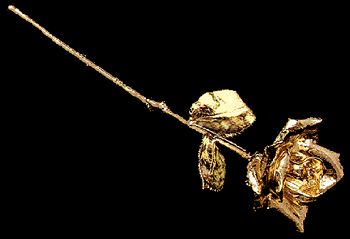 All Gold Roses